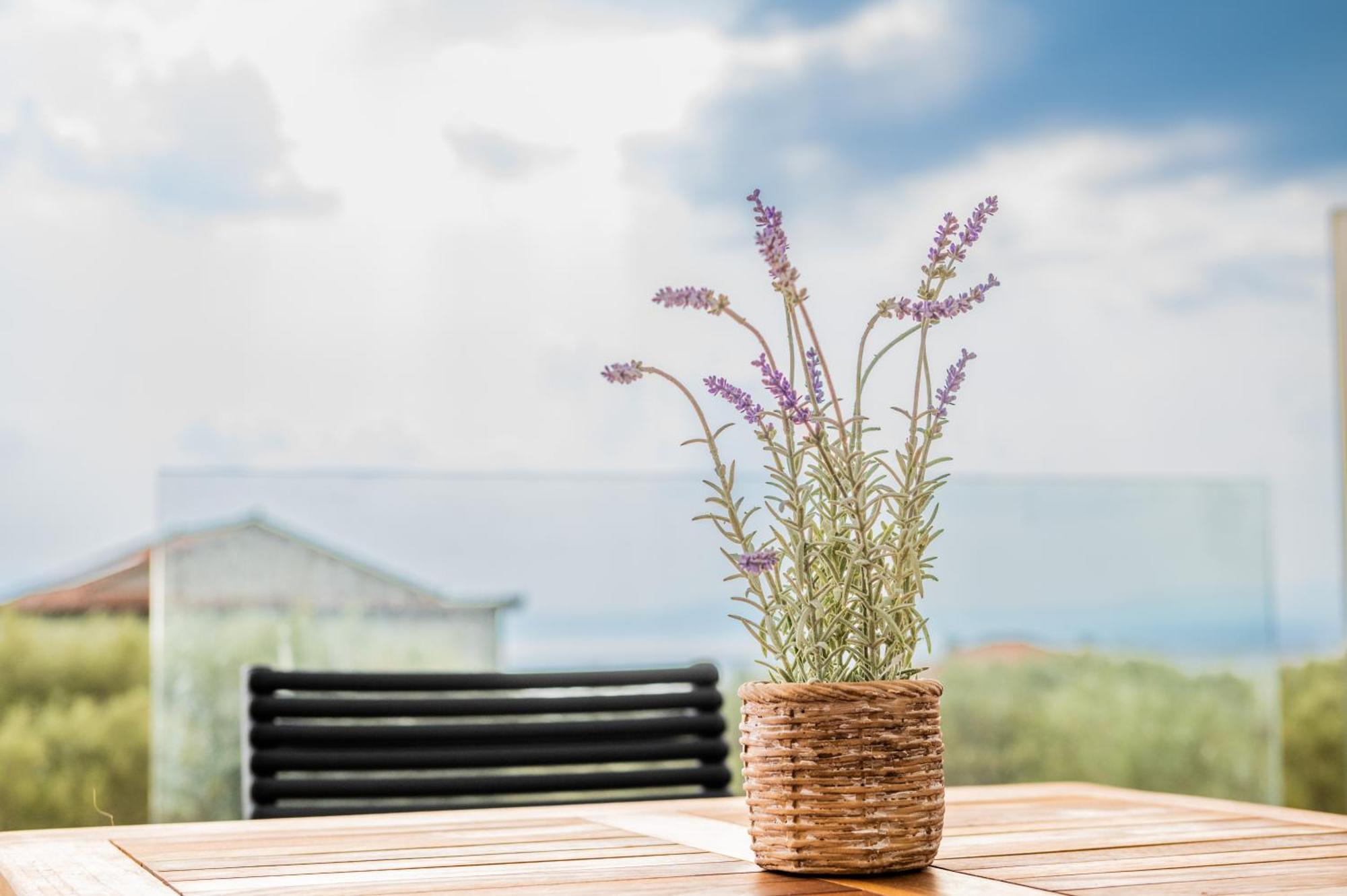 Petradi Suites Kalamata Zewnętrze zdjęcie